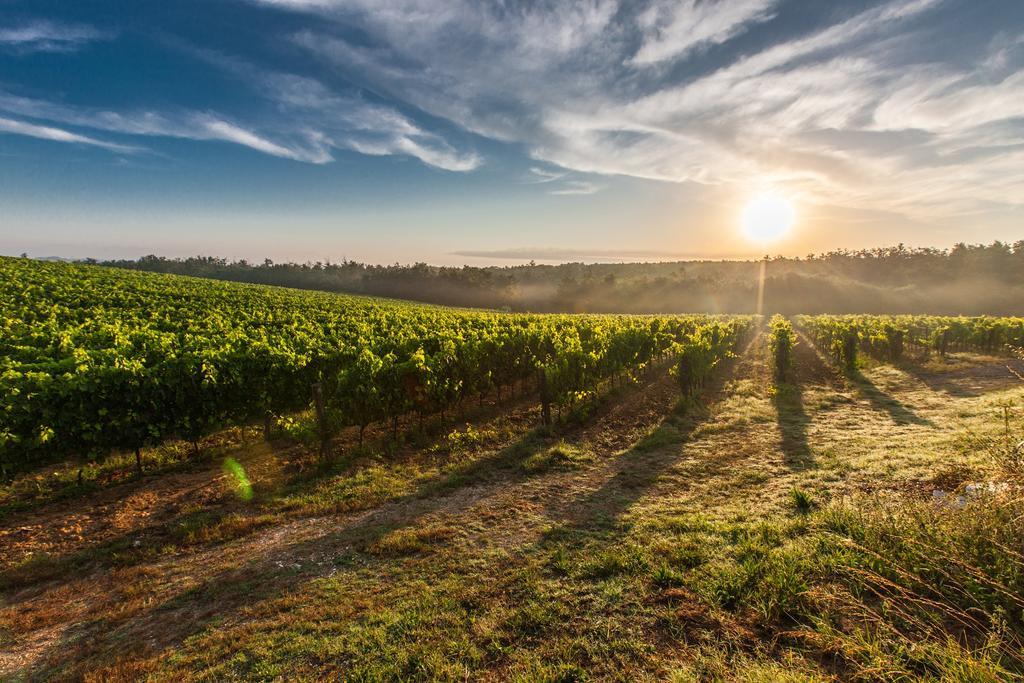 Villa Porticciolo Montepulciano Stazione Buitenkant foto